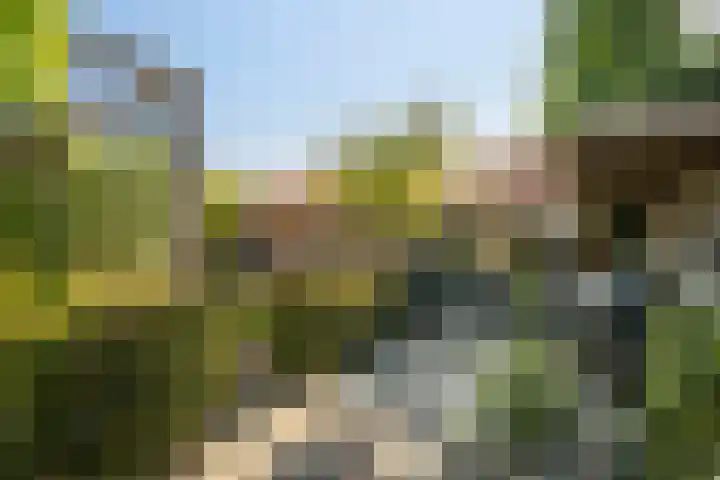 Korte Kruisweg 19 Maasdijk thumbnail 18