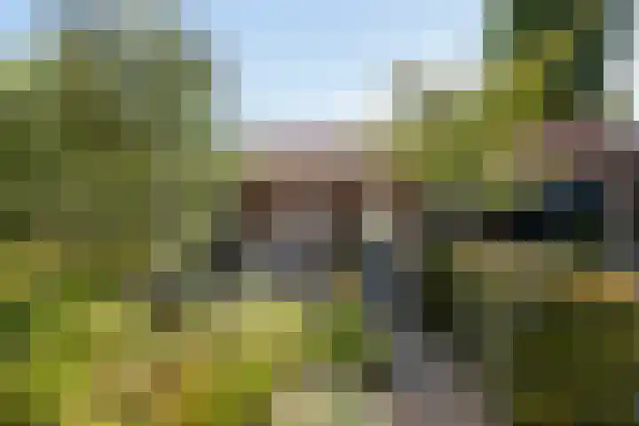 Korte Kruisweg 19 Maasdijk thumbnail 19