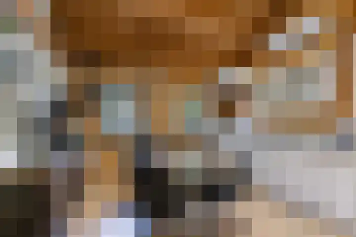 Korte Kruisweg 19 Maasdijk thumbnail 24