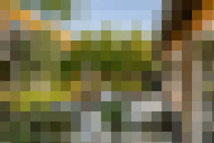Korte Kruisweg 19 Maasdijk thumbnail 28