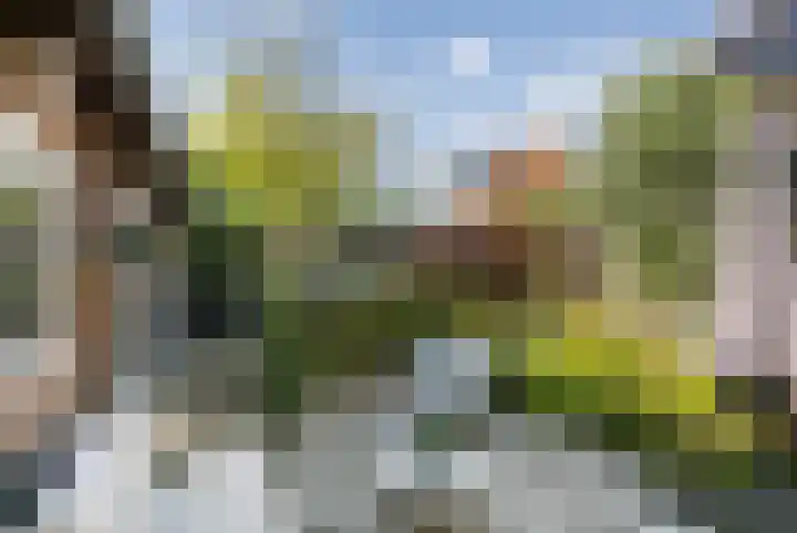 Korte Kruisweg 19 Maasdijk thumbnail 29