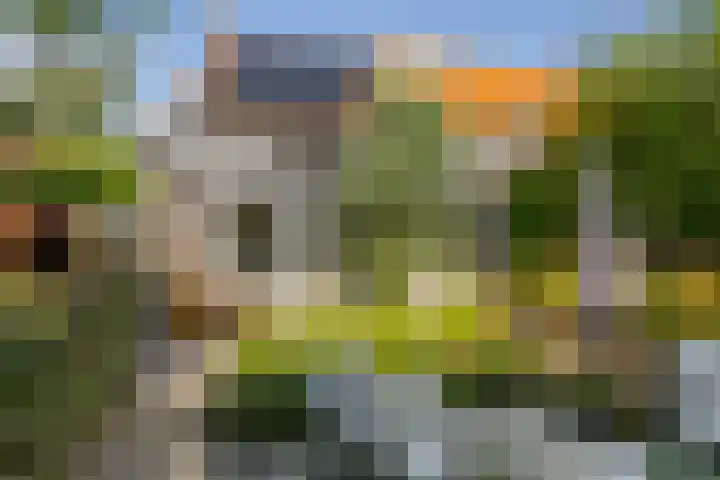 Korte Kruisweg 19 Maasdijk thumbnail 30