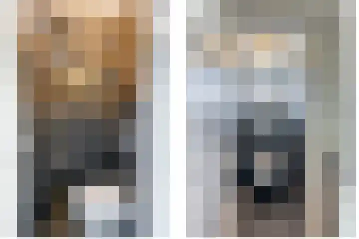 Korte Kruisweg 19 Maasdijk thumbnail 32