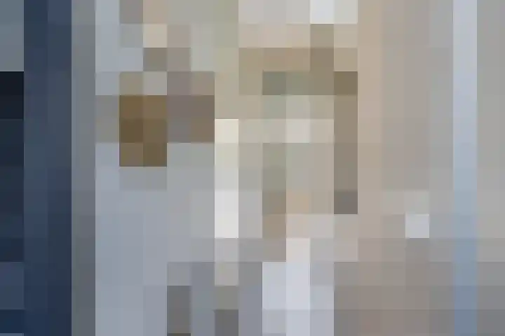 Korte Kruisweg 19 Maasdijk thumbnail 33