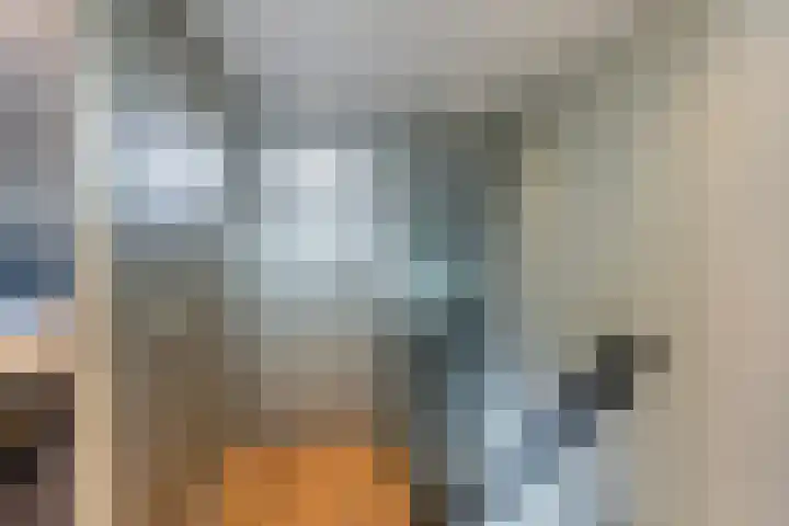 Korte Kruisweg 19 Maasdijk thumbnail 34