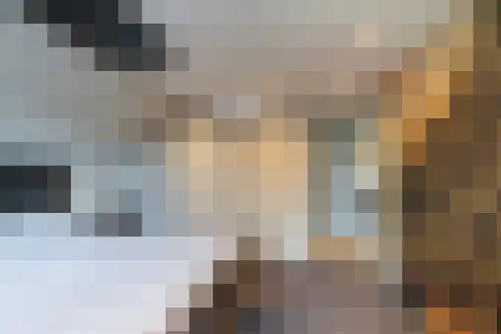 Korte Kruisweg 19 Maasdijk thumbnail 37