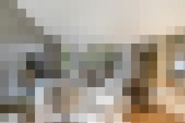 Korte Kruisweg 19 Maasdijk thumbnail 4