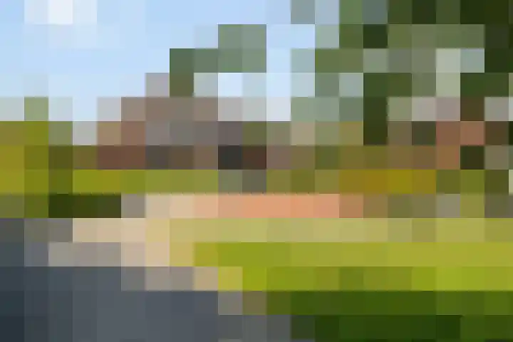 Korte Kruisweg 19 Maasdijk thumbnail 48