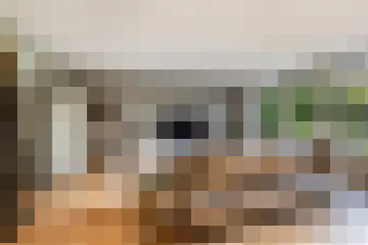 Korte Kruisweg 19 Maasdijk thumbnail 6