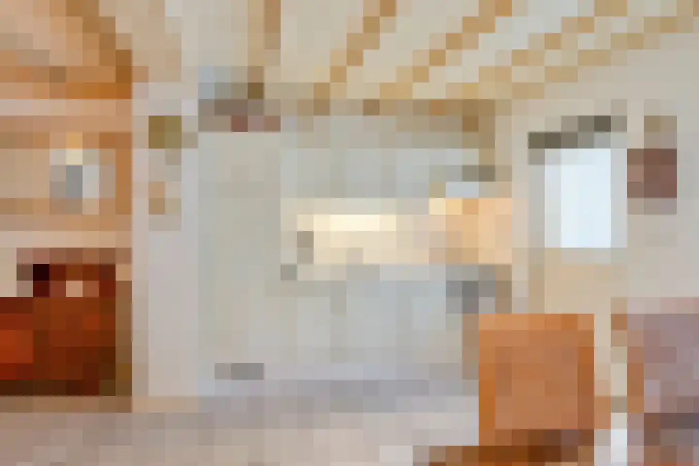 Korte Kruisweg 48 Veldhoven thumbnail 10