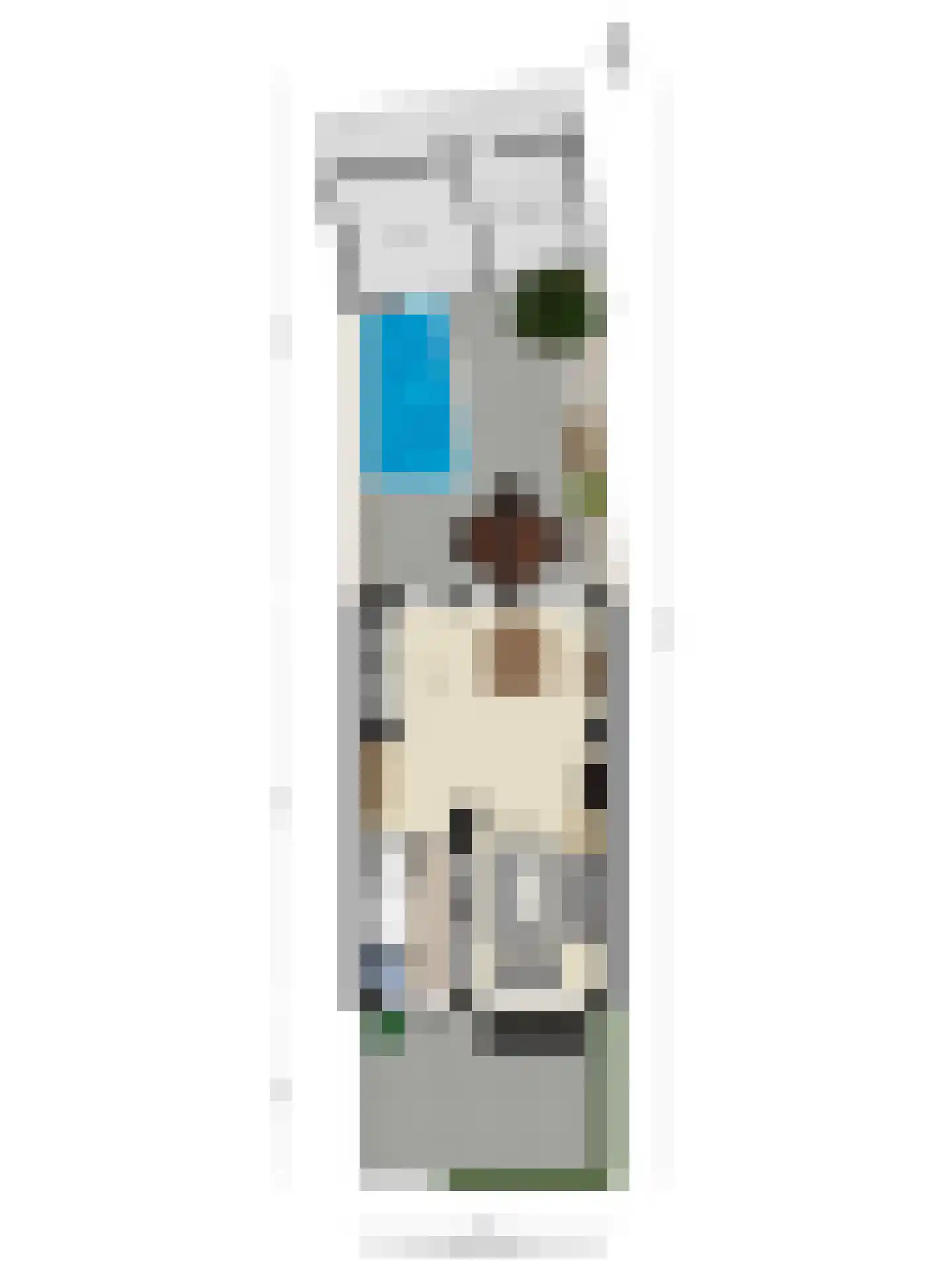 Korte Kruisweg 48 Veldhoven thumbnail 35