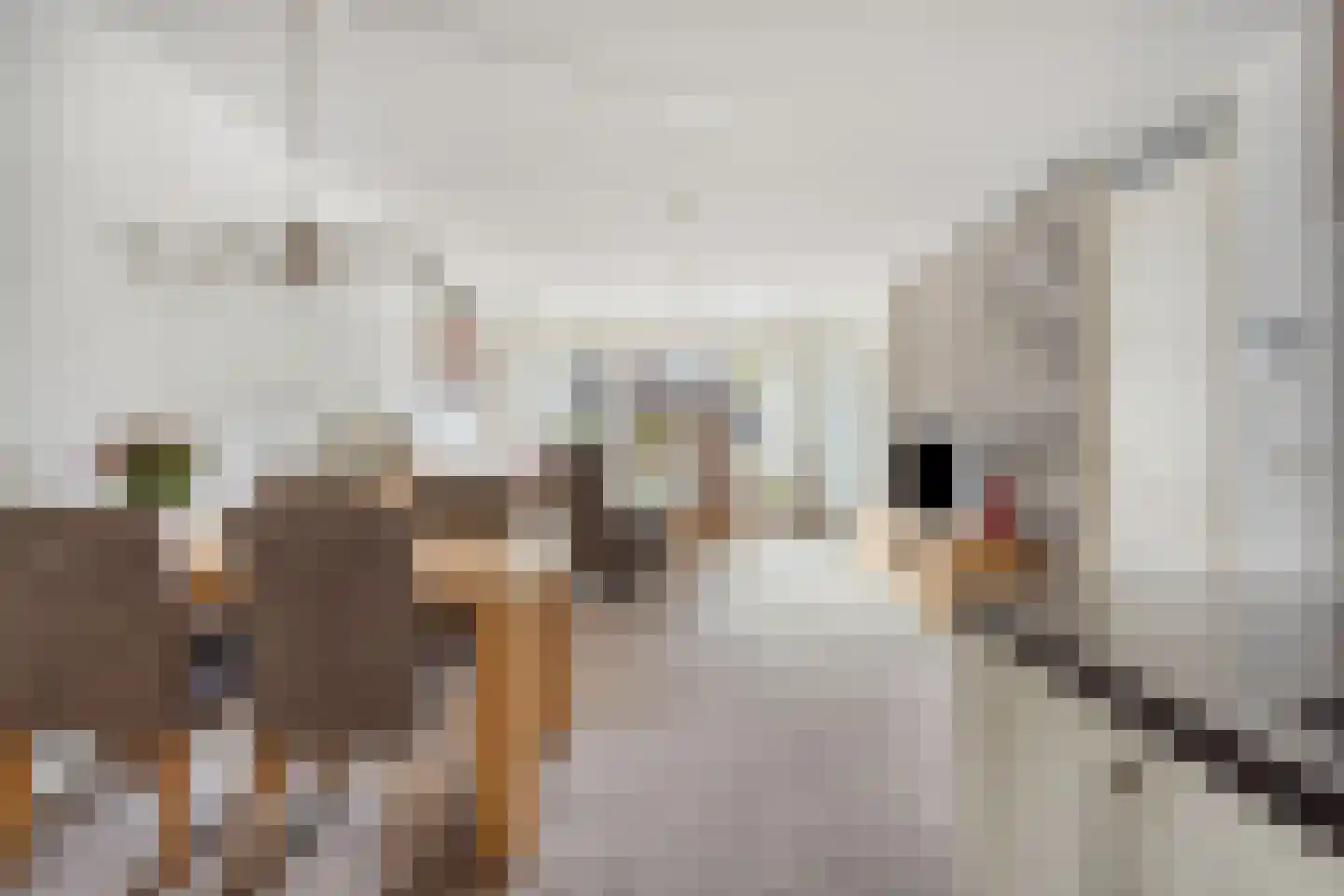 Korte Kruisweg 6 B Maasdijk thumbnail 13