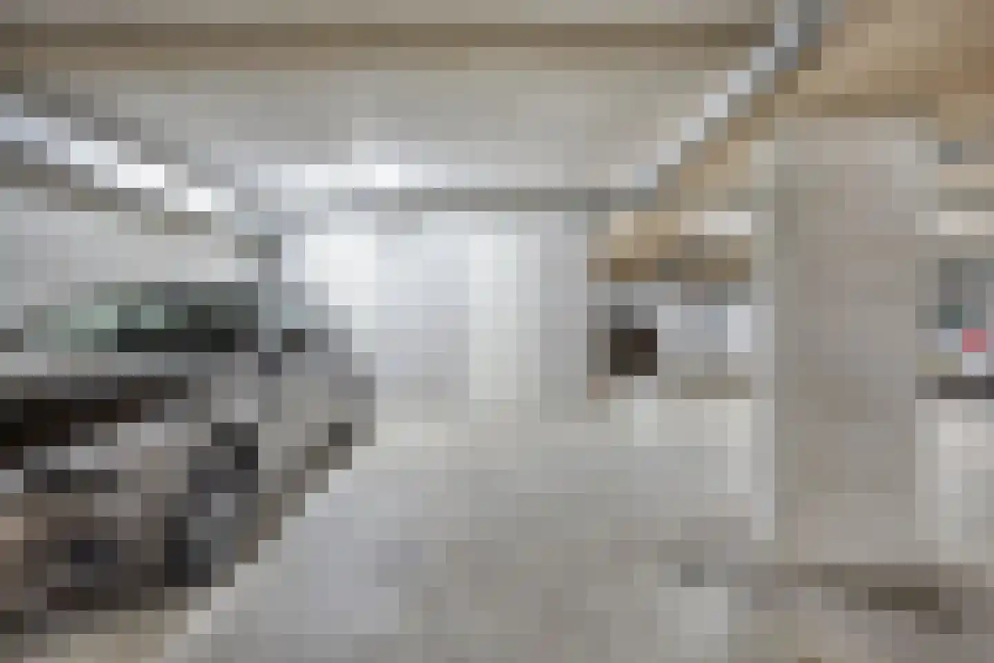 Korte Kruisweg 6 B Maasdijk thumbnail 23