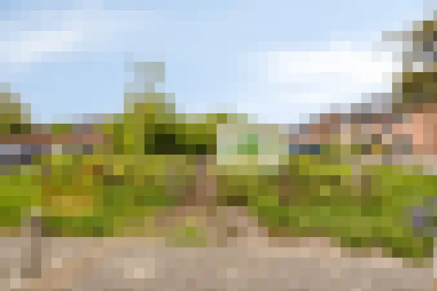 Korte Kruisweg 6 B Maasdijk thumbnail 27