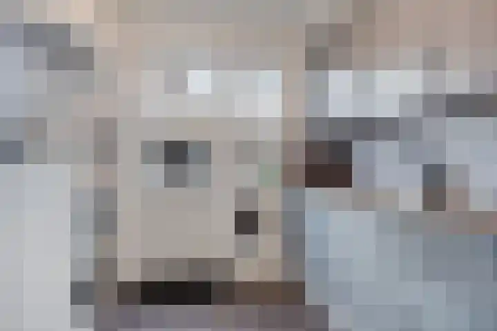 Korte Kuipersweg 16 Epe thumbnail 12
