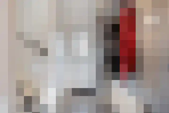 Korte Kuipersweg 16 Epe thumbnail 14