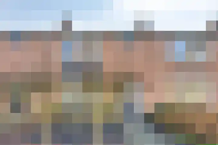 Korte Kuipersweg 16 Epe thumbnail 33