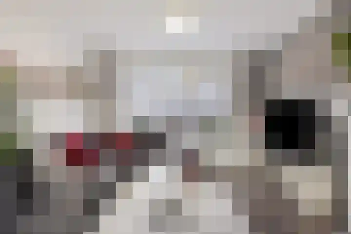 Korte Kuipersweg 16 Epe thumbnail 6