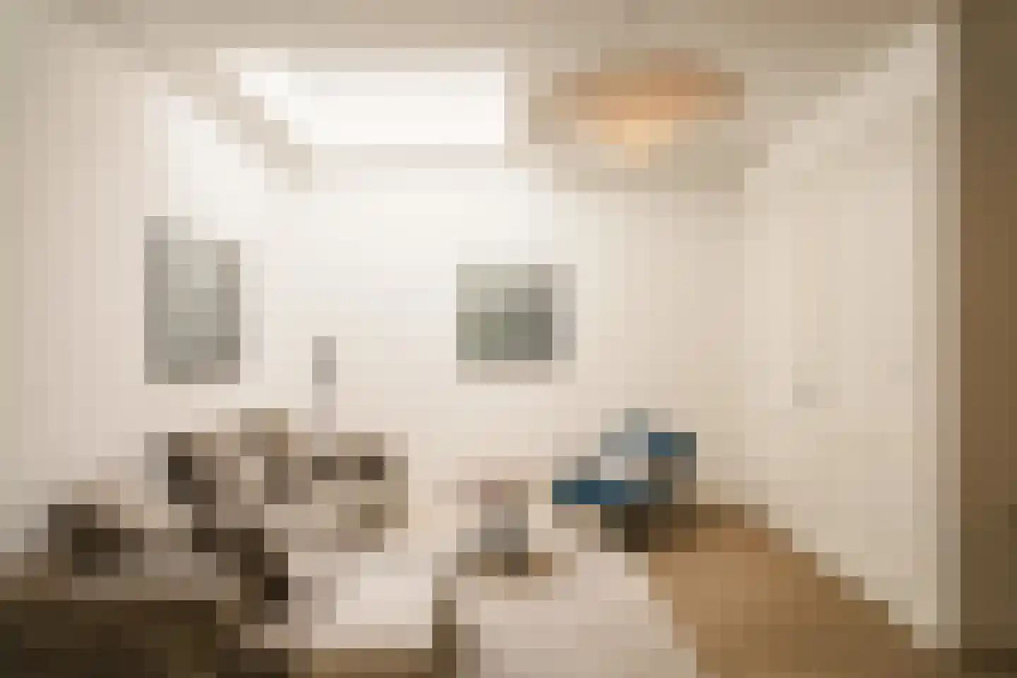 Korte Lakenstraat 15 Haarlem thumbnail 19