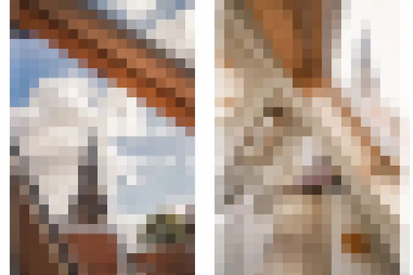 Korte Lakenstraat 15 Haarlem thumbnail 37