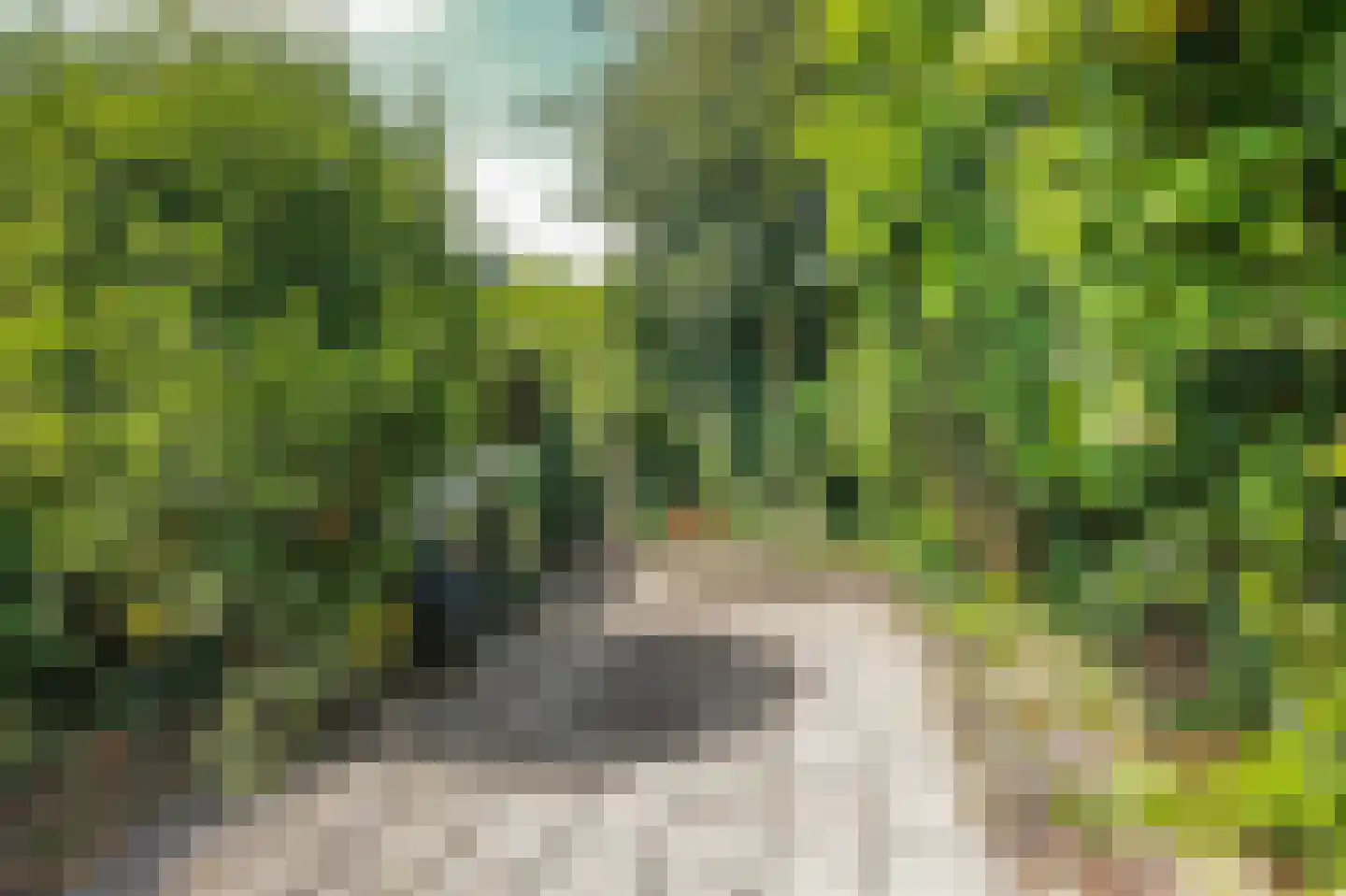 Korte Landstraat 2 Alkmaar thumbnail 25