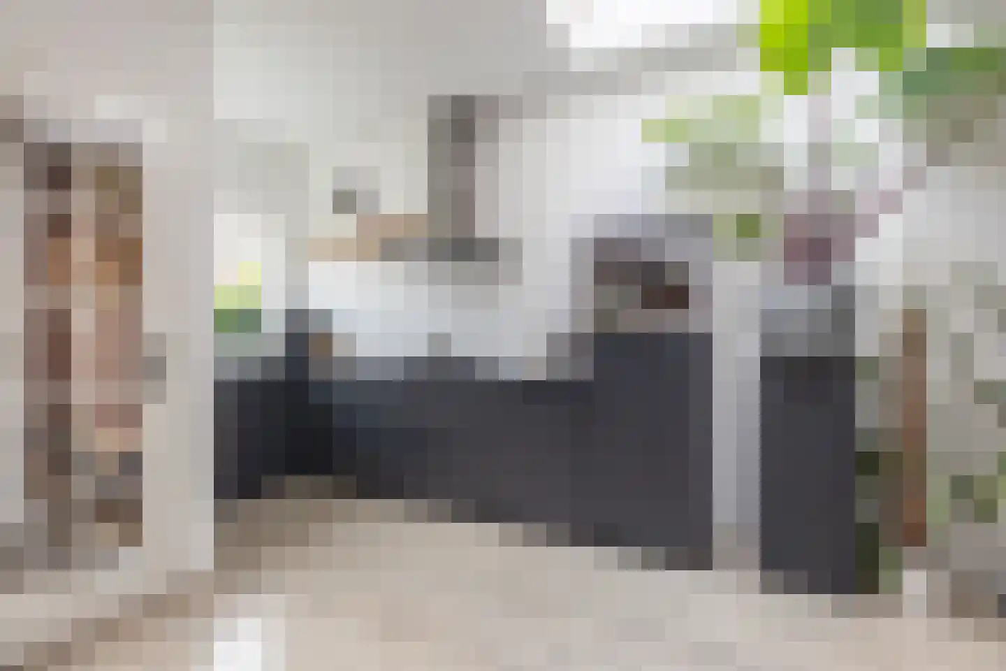 Korte Landstraat 28 Alkmaar thumbnail 13