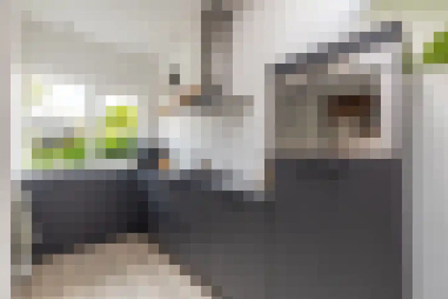 Korte Landstraat 28 Alkmaar thumbnail 14