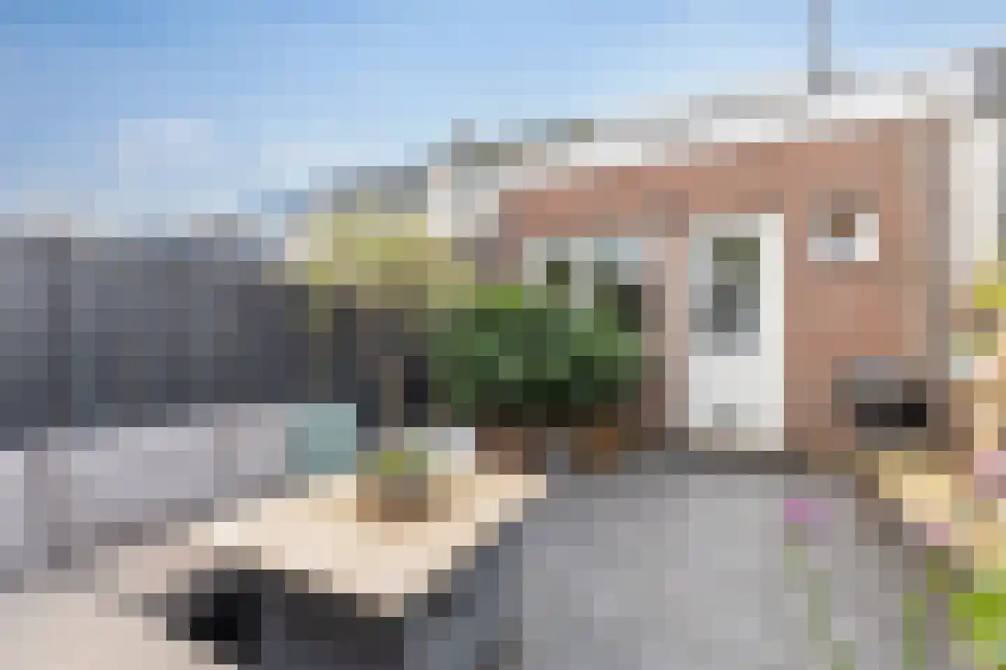 Korte Landstraat 28 Alkmaar thumbnail 36