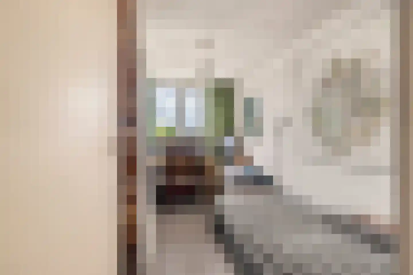 Korte Landstraat 4 Alkmaar thumbnail 20