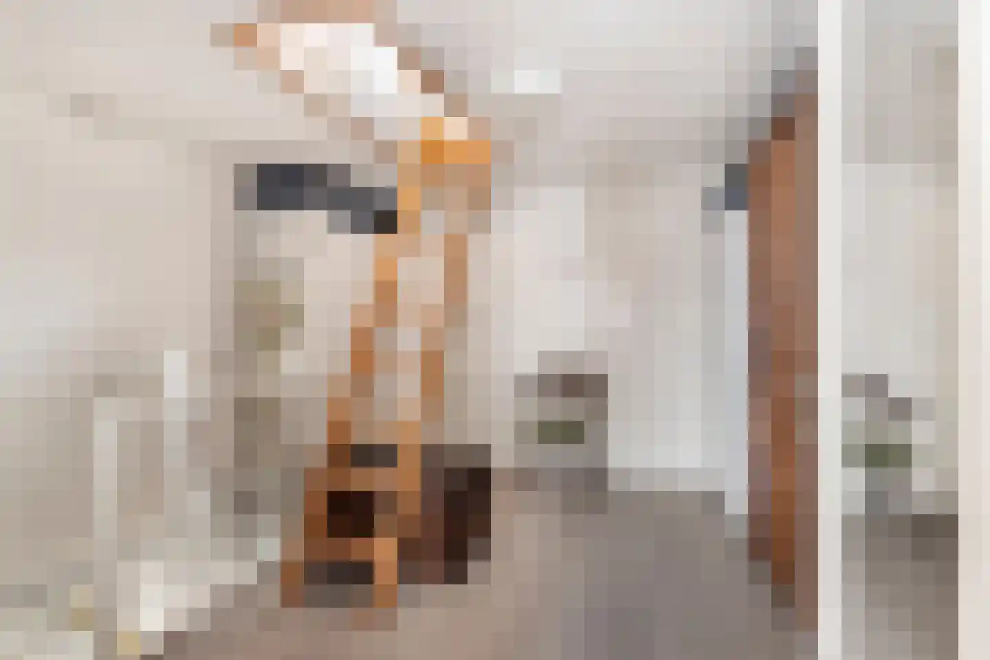 Korte Landstraat 4 Alkmaar thumbnail 21
