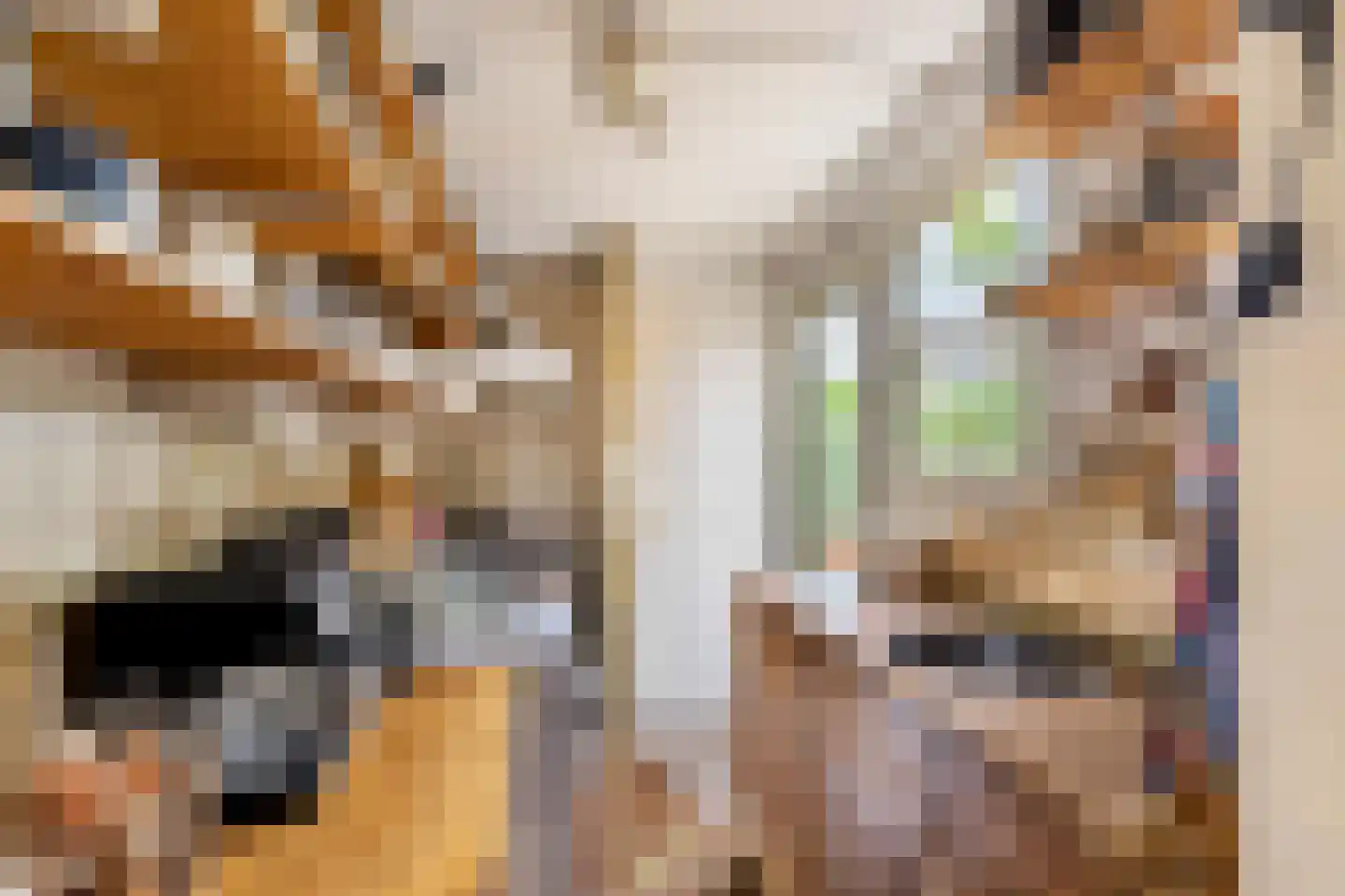 Korte Landstraat 4 Alkmaar thumbnail 8