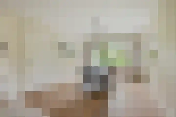 Korte Langewijnseweg 10 Huizen thumbnail 14