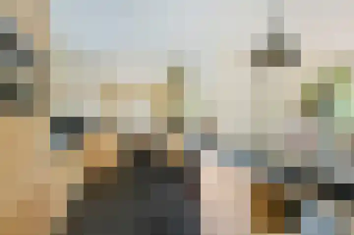 Korte Langewijnseweg 10 Huizen thumbnail 17