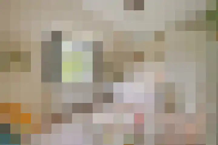 Korte Langewijnseweg 10 Huizen thumbnail 28