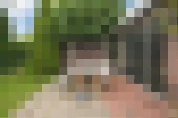 Korte Langewijnseweg 10 Huizen thumbnail 37