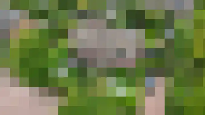 Korte Langewijnseweg 10 Huizen thumbnail 4