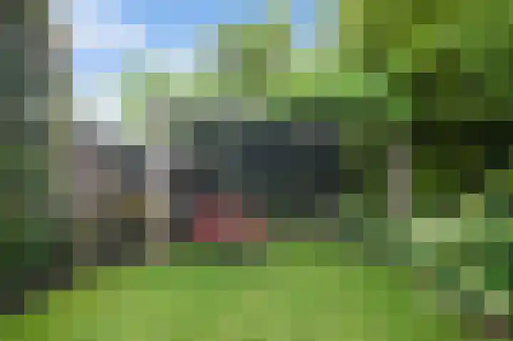 Korte Langewijnseweg 10 Huizen thumbnail 42