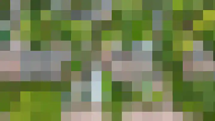 Korte Langewijnseweg 10 Huizen thumbnail 46