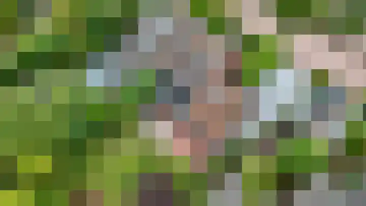 Korte Langewijnseweg 10 Huizen thumbnail 48