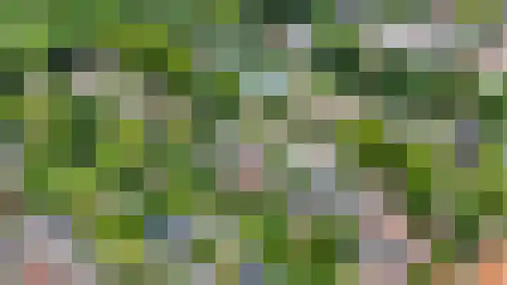 Korte Langewijnseweg 10 Huizen thumbnail 49