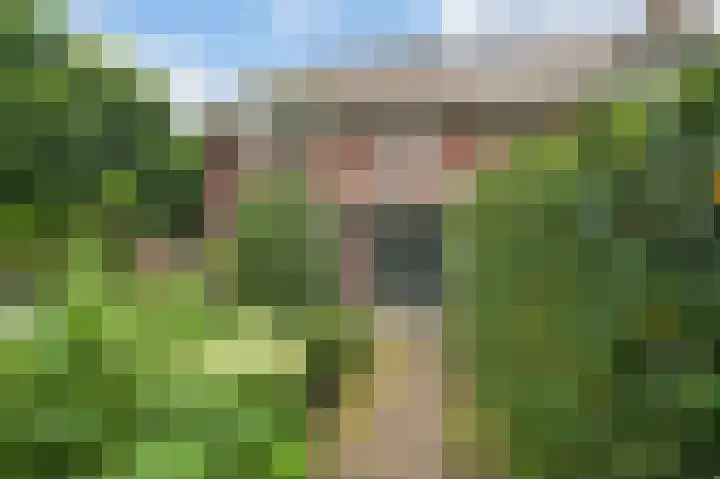 Korte Langewijnseweg 10 Huizen thumbnail 5