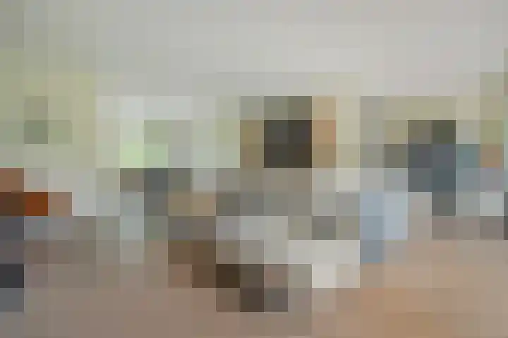 Korte Langewijnseweg 10 Huizen thumbnail 8