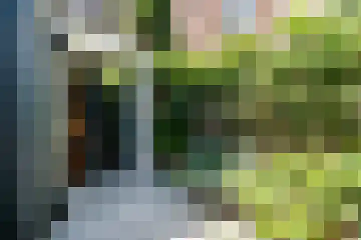 Korte Lauwerstraat 15 Utrecht thumbnail 17