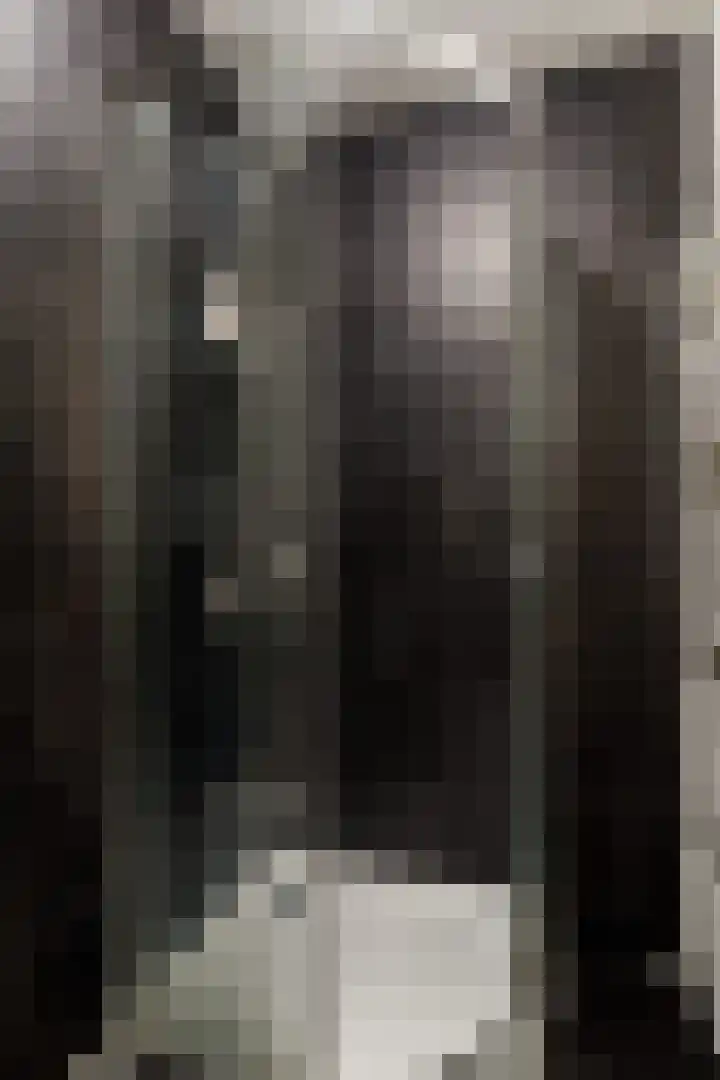 Korte Lauwerstraat 15 Utrecht thumbnail 23
