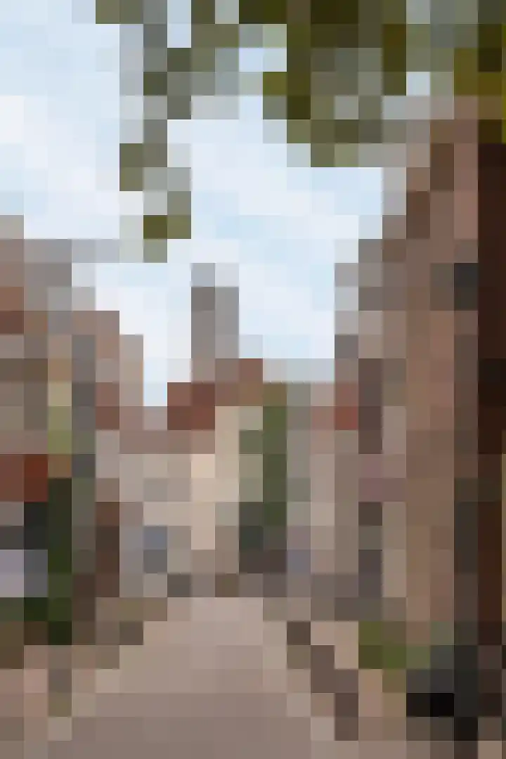 Korte Lauwerstraat 15 Utrecht thumbnail 25