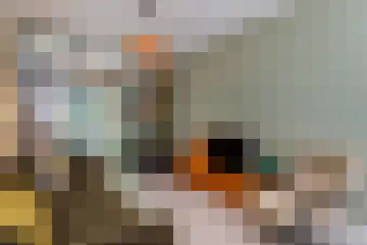Korte Lauwerstraat 15 Utrecht thumbnail 4