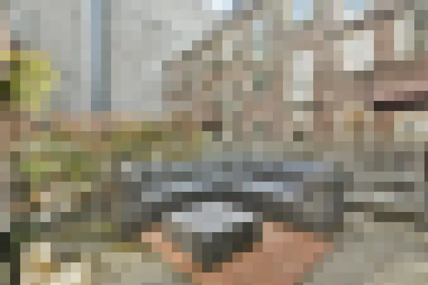 Korte Leidsedwarsstraat 2 A Amsterdam thumbnail 9