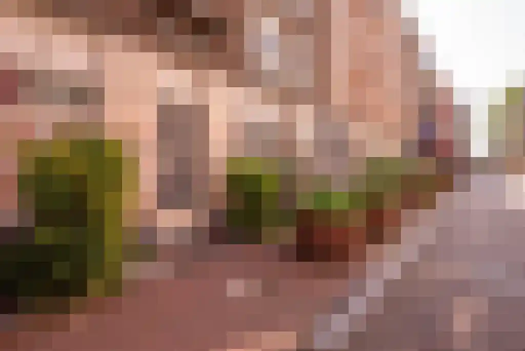 Korte Leidsedwarsstraat 31 Amsterdam thumbnail 4