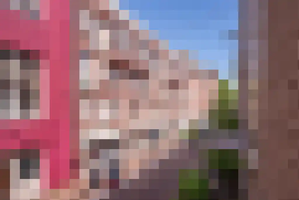 Korte Leidsedwarsstraat 31 Amsterdam thumbnail 5
