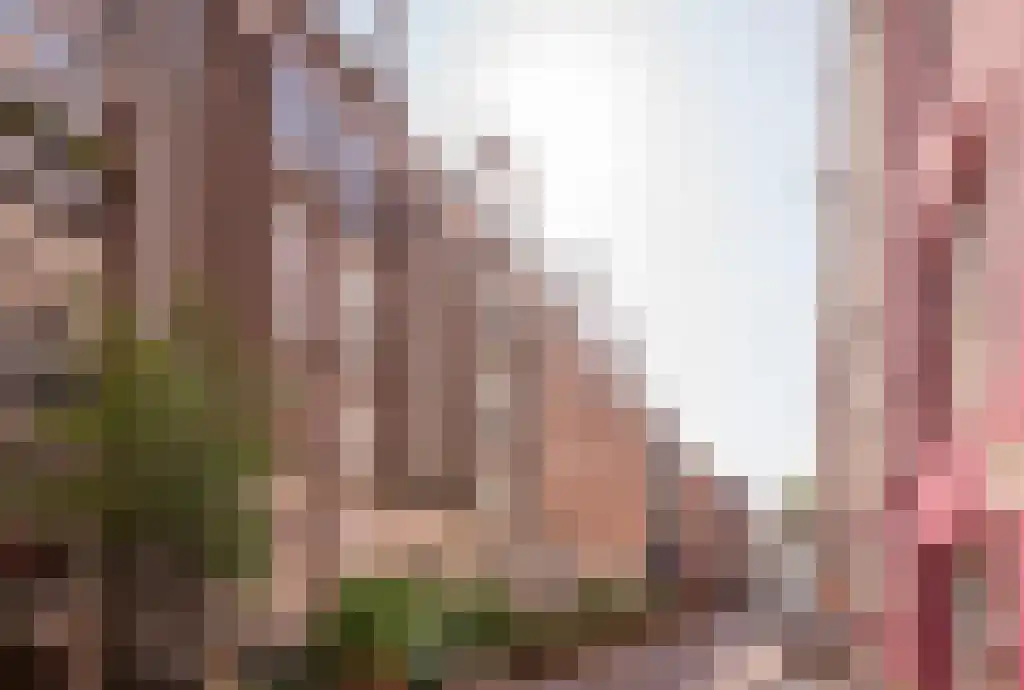 Korte Leidsedwarsstraat 31 Amsterdam thumbnail 6